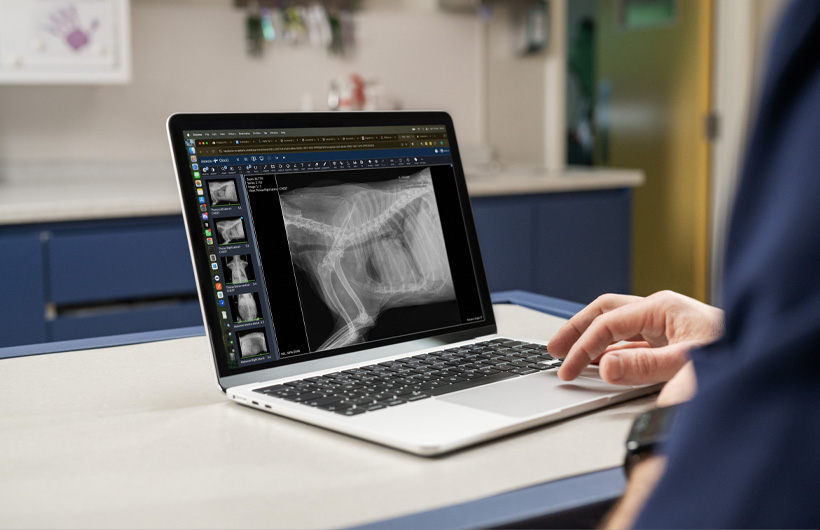 Raios-x e ecografias detalhados são apresentados em tempo real no MacBook Air.